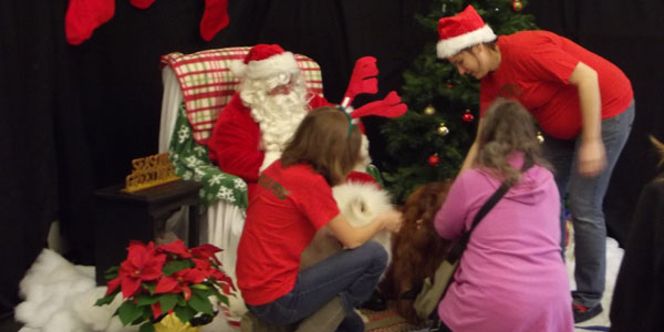 Pets join in the spirit of Santa Claws 