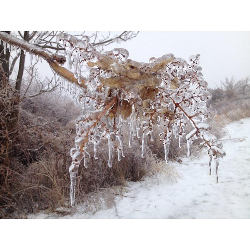 Ice storm runs through the valley 