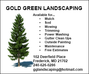 Gold Green Landscaping 300x250 2018