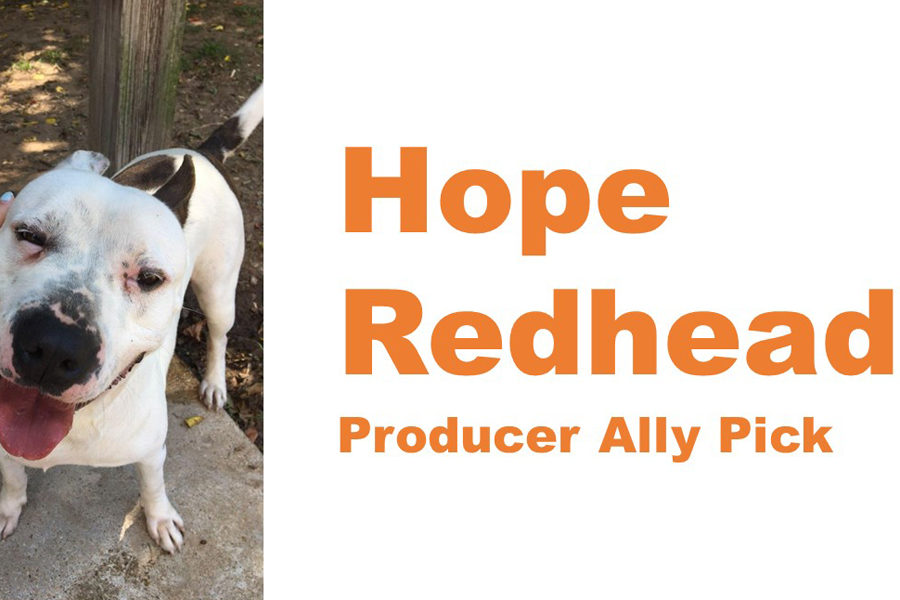 Senior Hope Redhead starts fund for dog with heartworms in Louisiana