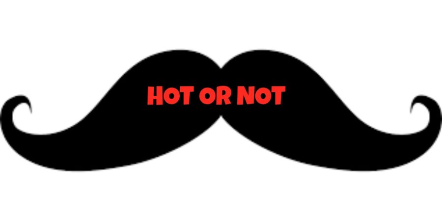 Fun+feature%3A+Hot+or+Not_Movember+edition