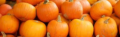 RT+: Making the most of a pumpkin