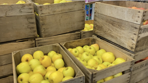 Middletowns FFA holds their annual citrus sale