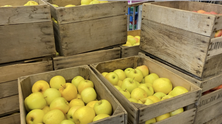 Middletowns+FFA+holds+their+annual+citrus+sale
