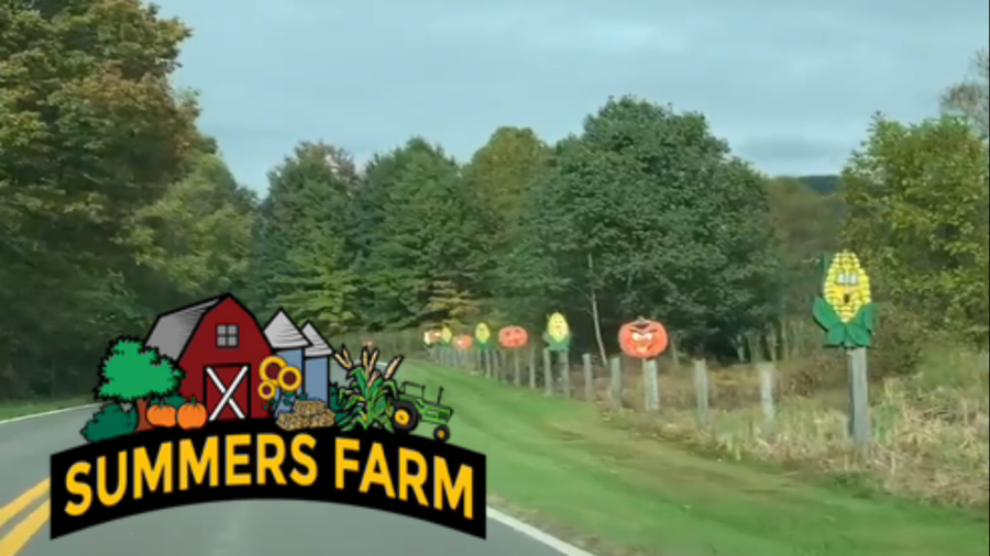 Summers Farm moves to a new location